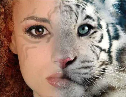 Программа Adobe Photoshop: эволюция версий за последние 20 лет