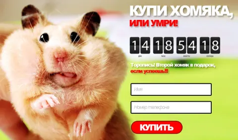 Повышаем конверсию Landing Page