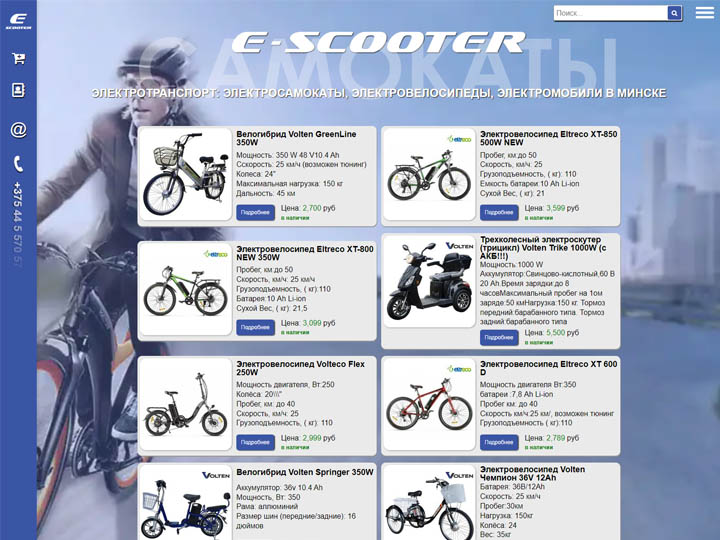 Online store selling electric vehicles