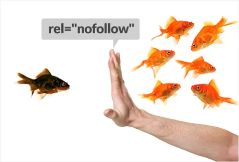 Атрибут NoFollow: когда и как использовать его, чтобы избежать штрафа от Google
