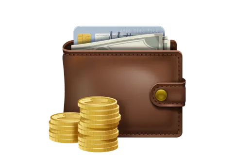 Прием платежей в интернет магазине. Что выбрать?