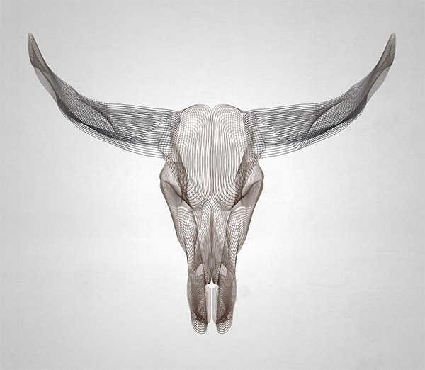 Каркасный череп животного в Adobe Illustrator